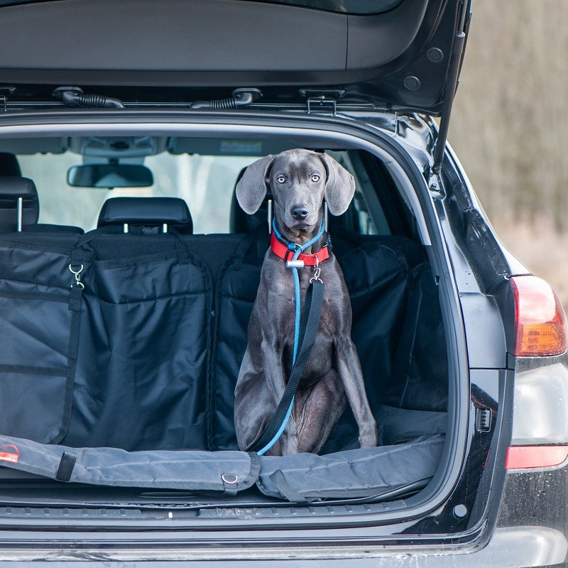 What Is A Super Large Dog? What Kind Of Car Bed For Extra Large Dogs?