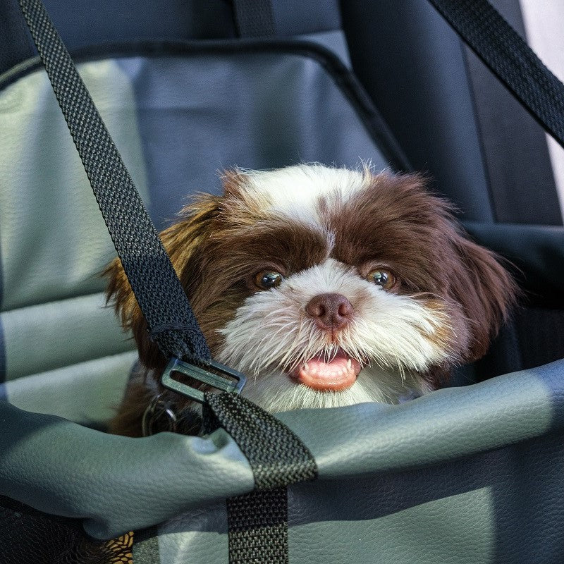 Are There Car Seats for Dogs?