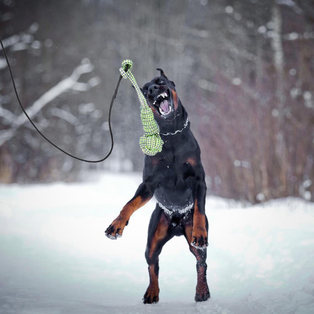 1 Set Rod Extendable Teaser Wand Pet Flirt Stick Pole Set