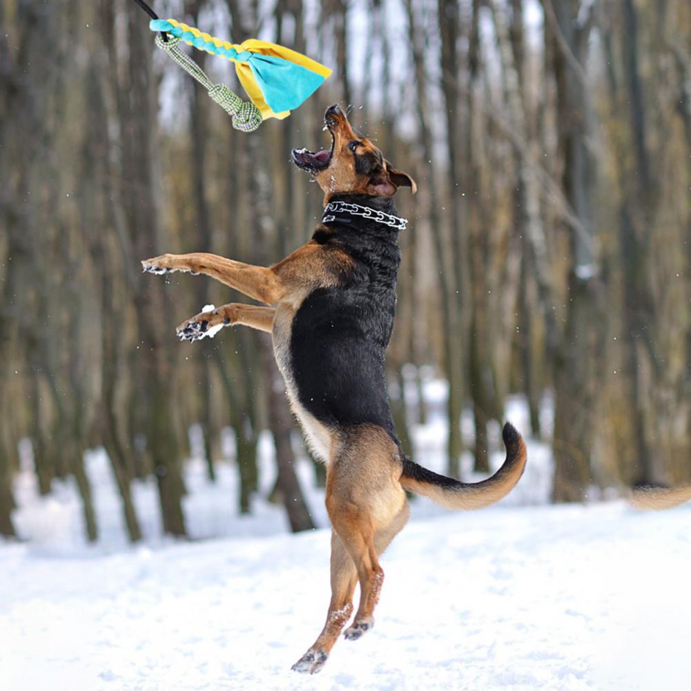 1 Set Rod Extendable Teaser Wand Pet Flirt Stick Pole Set