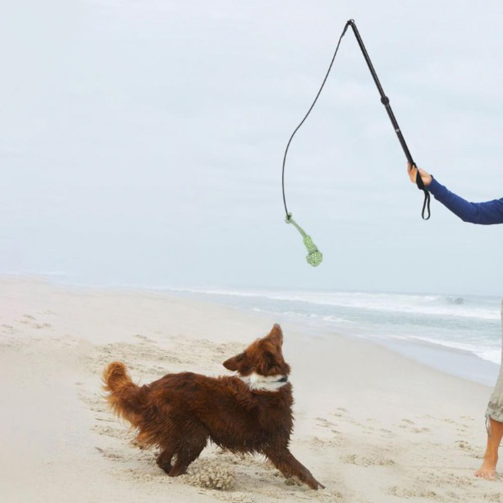 1 Set Rod Extendable Teaser Wand Pet Flirt Stick Pole Set