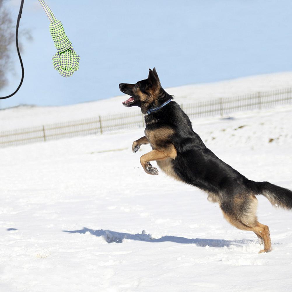 1 Set Rod Extendable Teaser Wand Pet Flirt Stick Pole Set