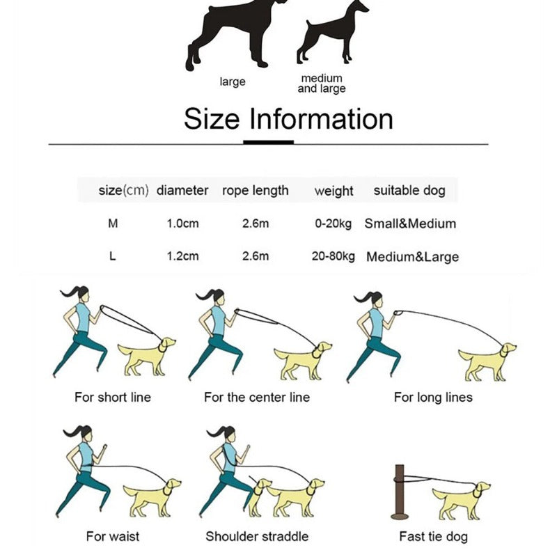 2.6M Hands Free Dog Slip Leash Multifunctional Dog Training Leads Nylon Double Leash