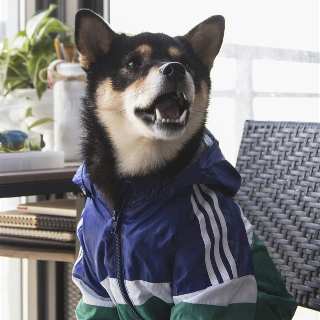 Pet Dog Waterproof Coat Rainproof Reflective Raincoat Dogs Wind Coat Windbreaker