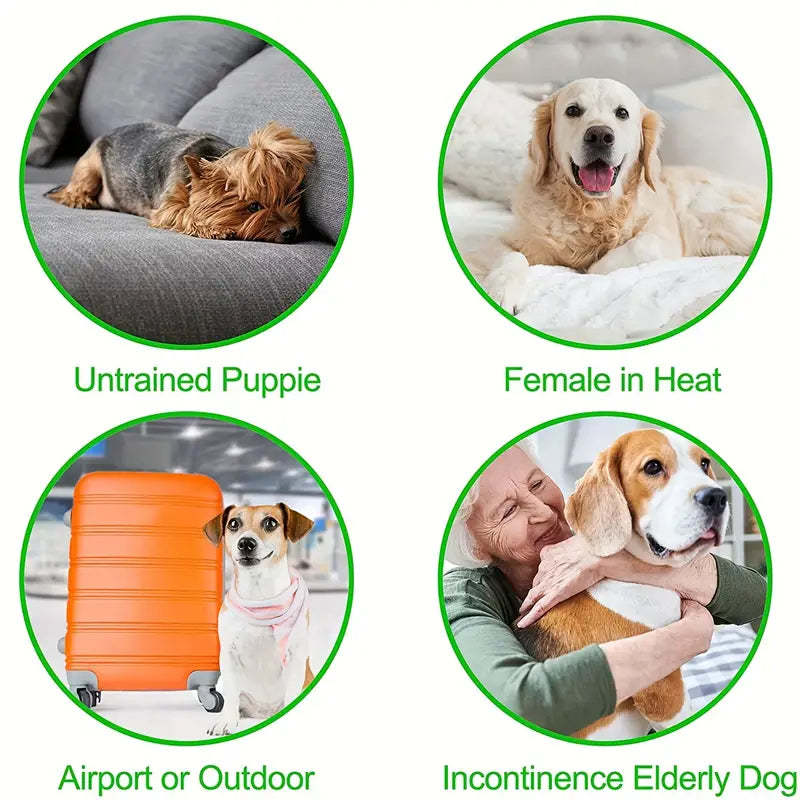 Durable Washable Male Dog Diaper Wraps Dog Physiological Pant Underwear