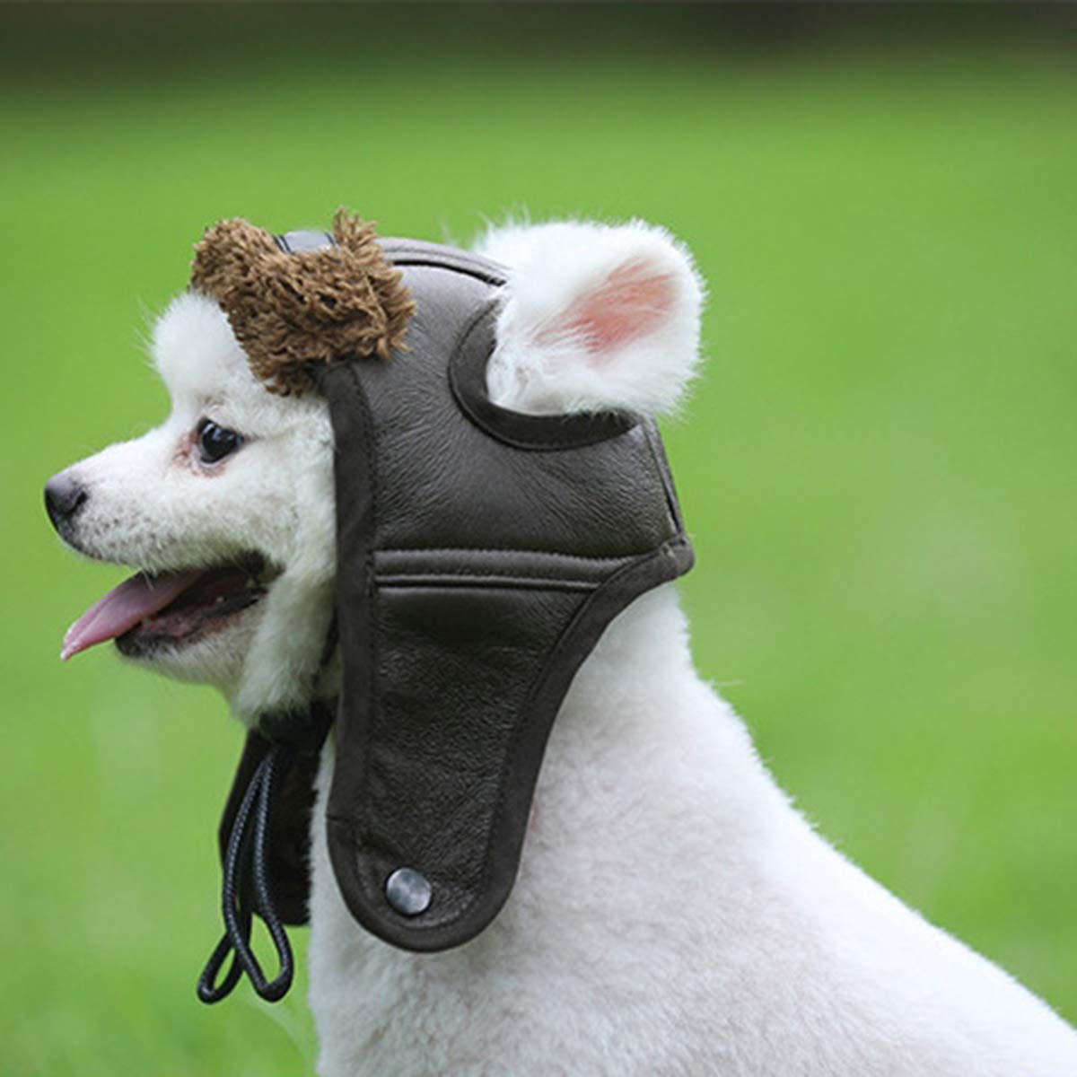 Winter Warm Pet Dogs Hat Dog Poilt Cap Helmet