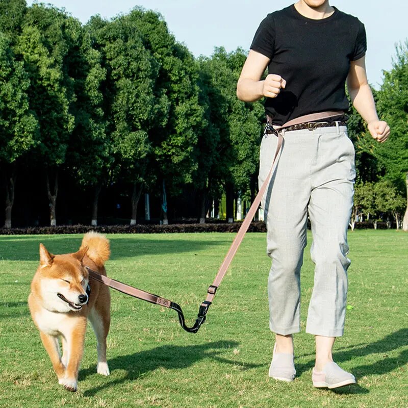 6 in 1Retractable Dog Leash Dual Handle Bungee Leash With Reflective