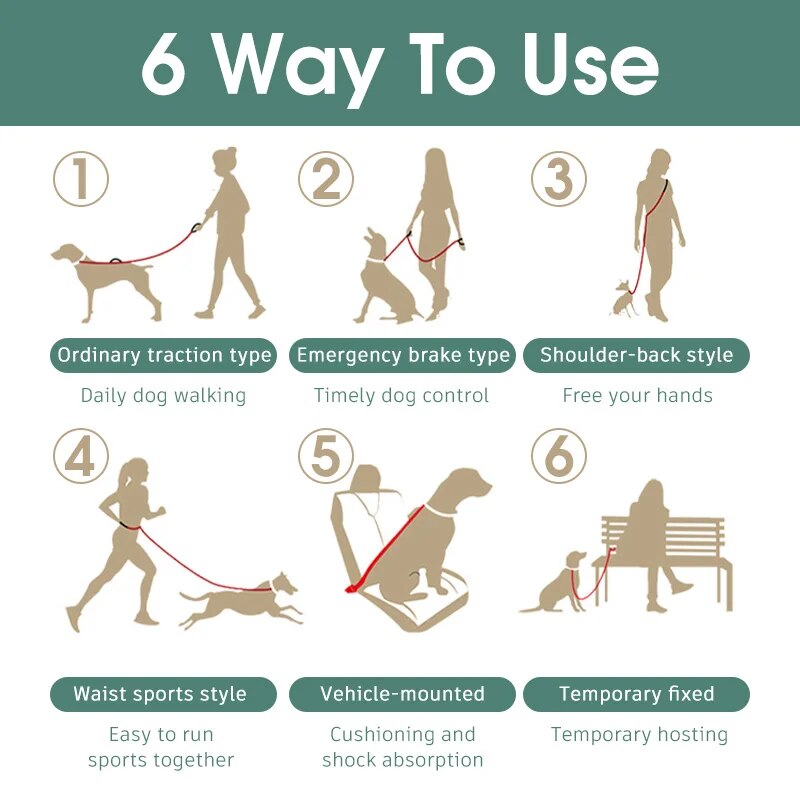 6 in 1Retractable Dog Leash Dual Handle Bungee Leash With Reflective