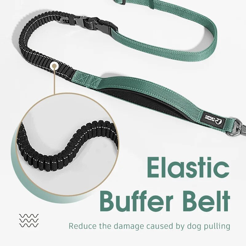 6 in 1Retractable Dog Leash Dual Handle Bungee Leash With Reflective