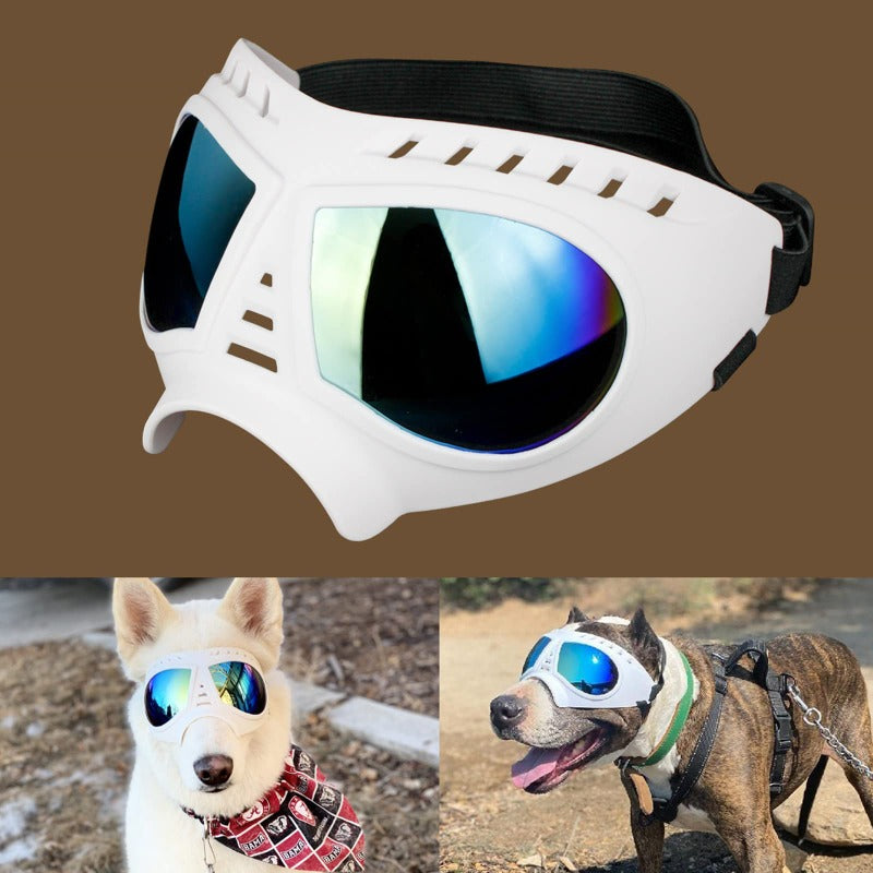 Dog Goggles Large Breed Windproof Dog Goggles For Large Dogs