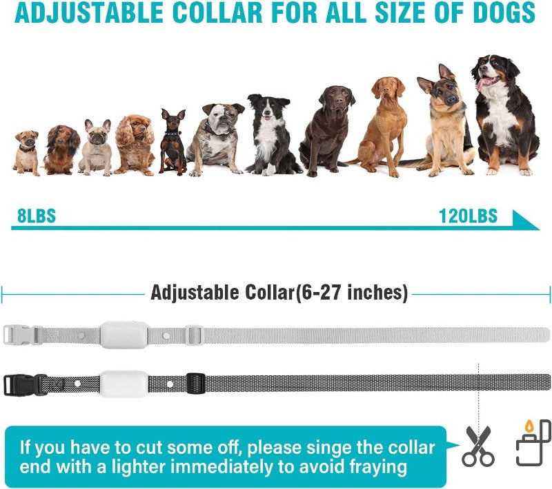 Waterproof Rechargeable Electric Dog Training Collar with Remote Dog Shock Collar