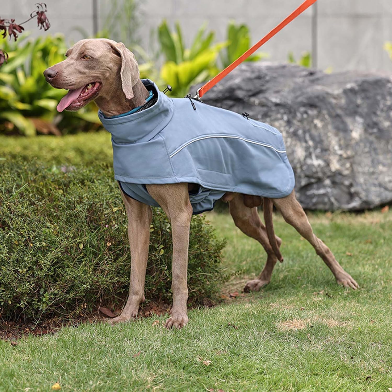 Turtleneck Dog Snow Jacket Warm Reversible Winter Dog Coat