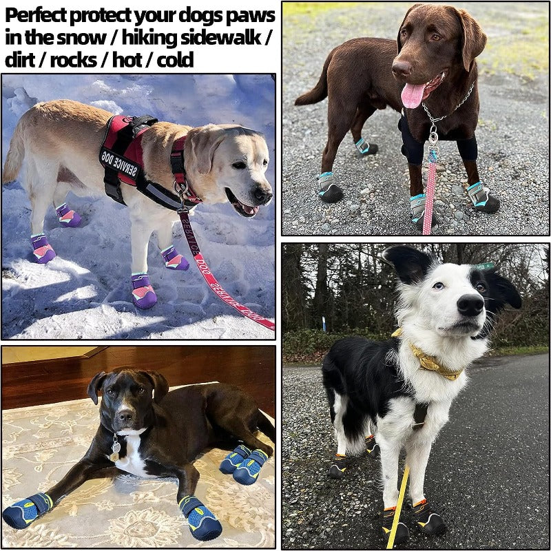Dog Shoes Set Dog Boots For Small Dogs Breathable Anti Slip Sole