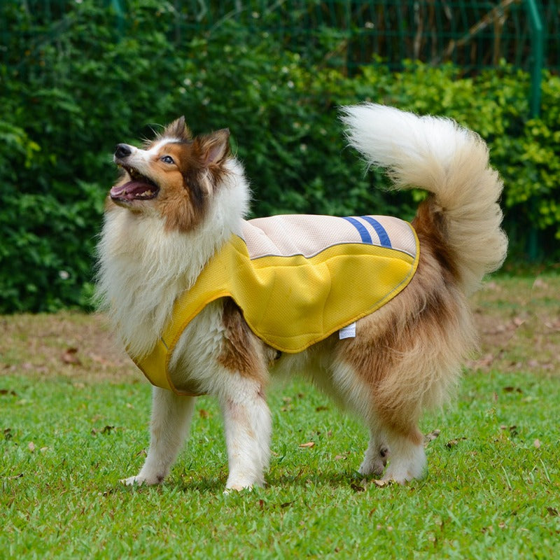 Dog Cooling Vest Summer Vest Tanks Pet Cooler Jacket T- Shirts Costumes Apparel Outfits for Cats Puppy Training Walking Hiking