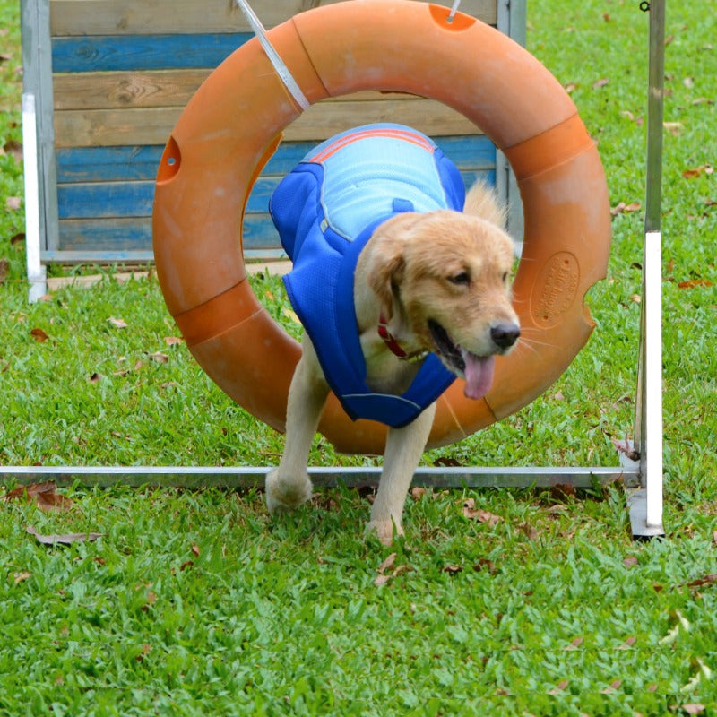 Dog Cooling Vest Summer Vest Tanks Pet Cooler Jacket T- Shirts Costumes Apparel Outfits for Cats Puppy Training Walking Hiking