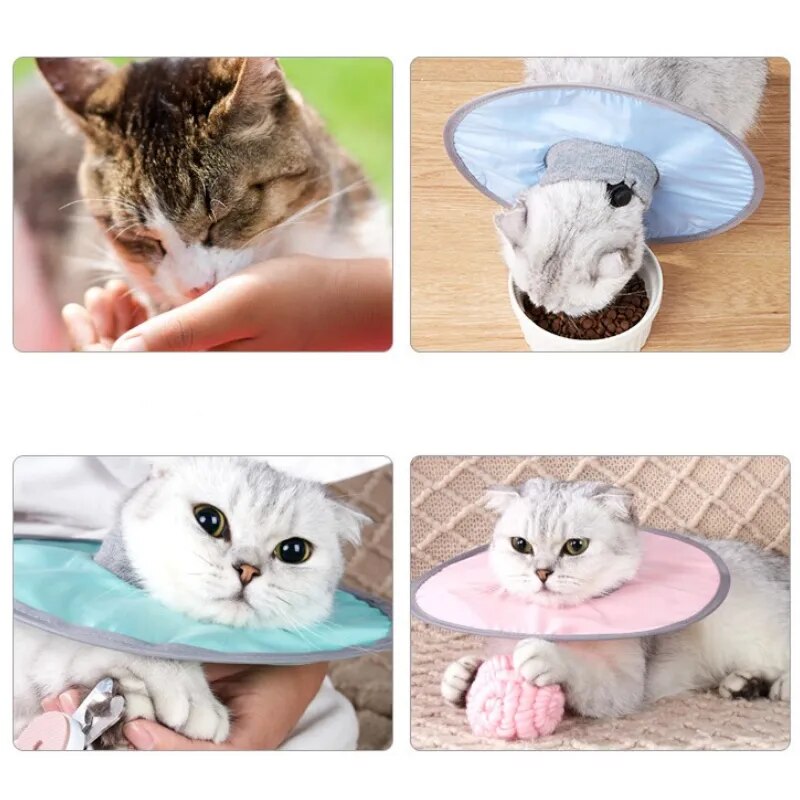 Adjustable Cat Cone Collar Cat Recovery Collar