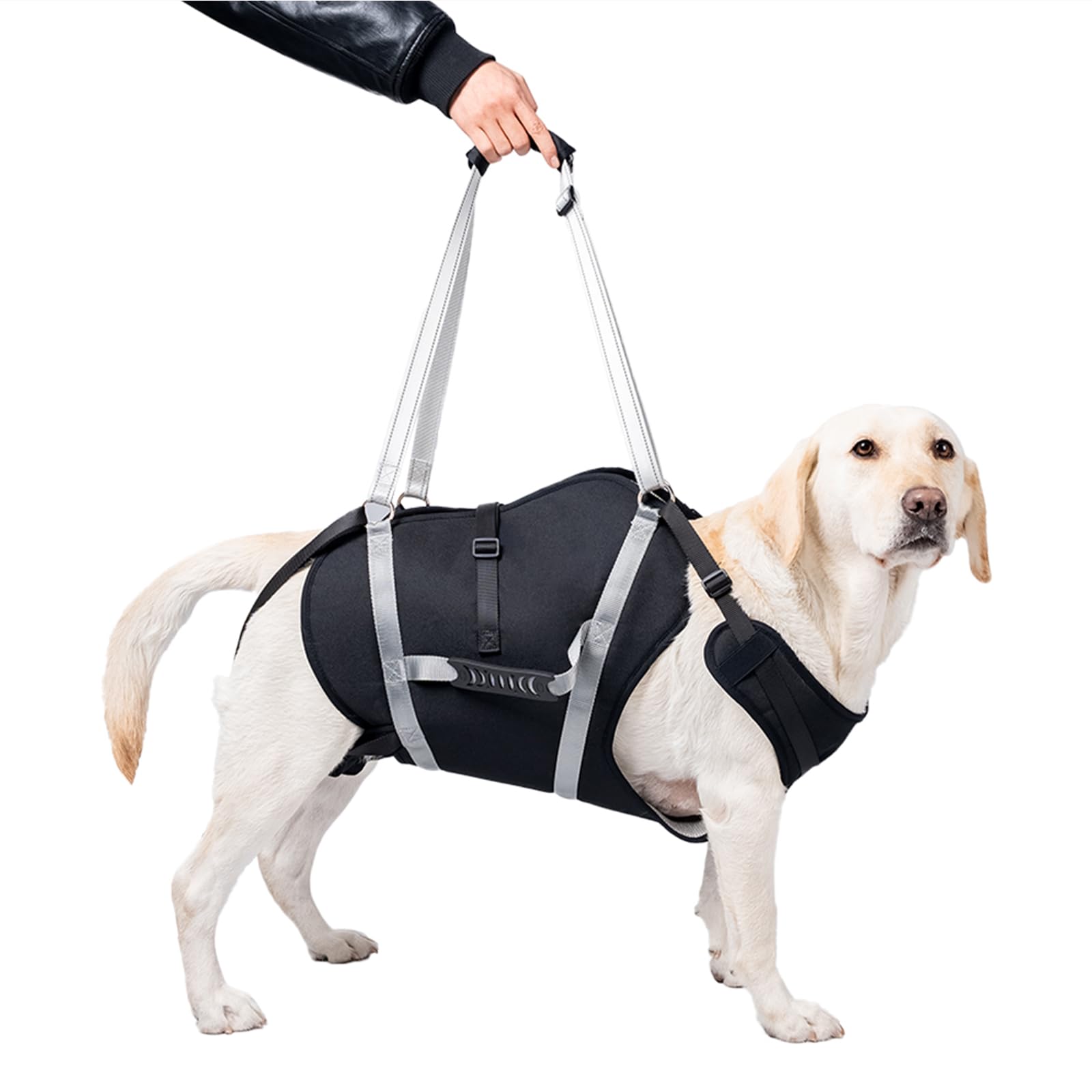 Adjustable Dog Lift Harness Pets Adjustable Padded Straps Dog Lift Harness with Handles