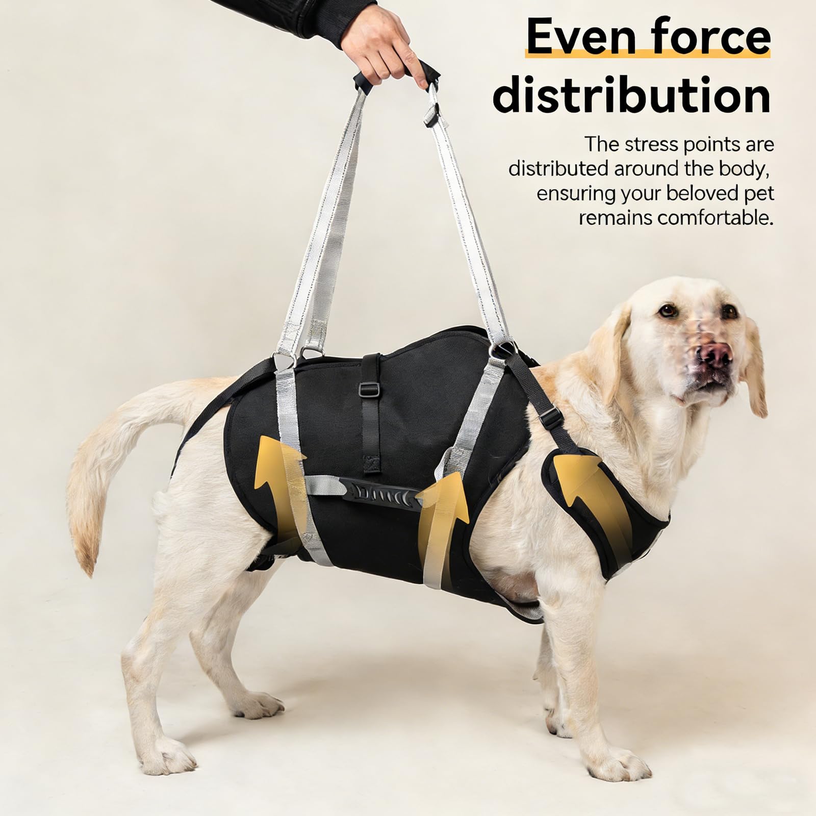 Adjustable Dog Lift Harness Pets Adjustable Padded Straps Dog Lift Harness with Handles