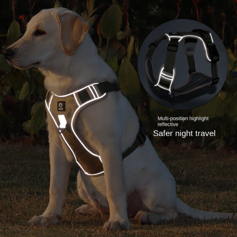 Dog Walking kit (Adjustable Reflective Dog Harness+Retractable Dog Leashes)