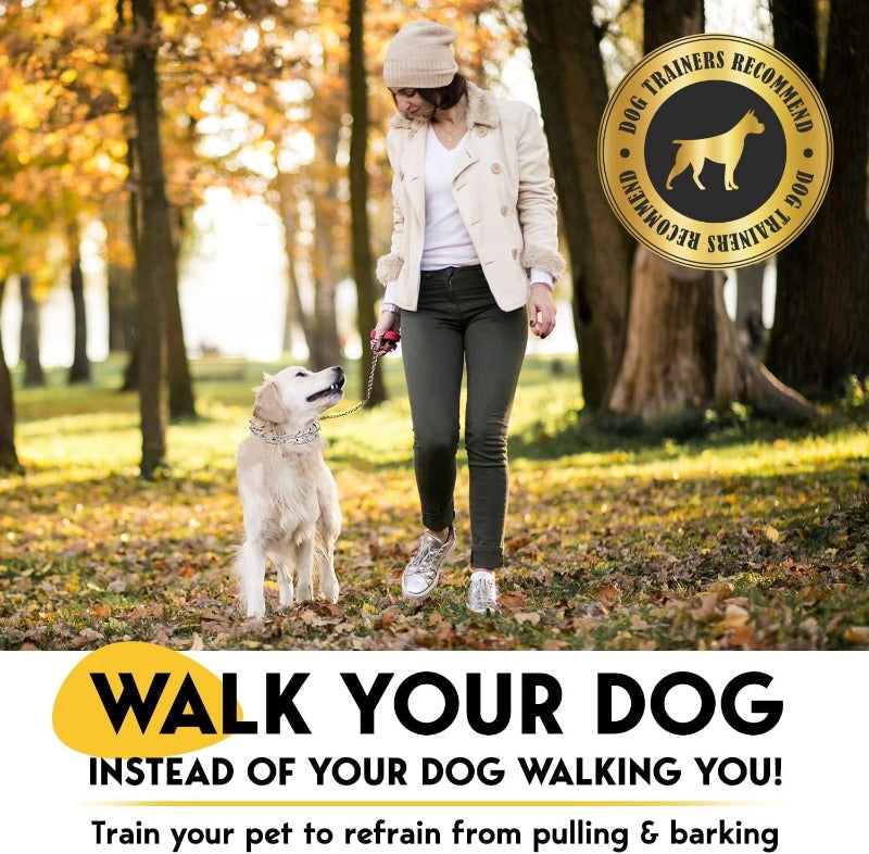 Adjustable No Pull Dog Traning Collar with Buckle