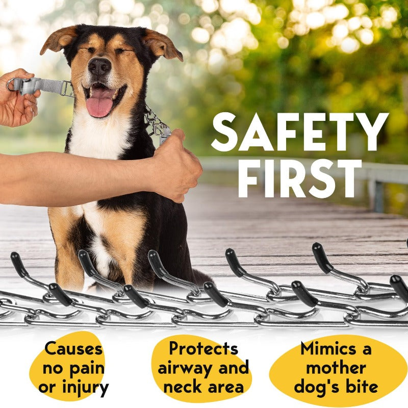 Adjustable No Pull Dog Traning Collar with Buckle