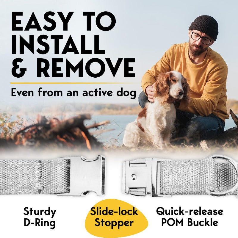 Adjustable No Pull Dog Traning Collar with Buckle