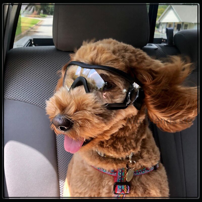 Adjustable Pet Dog Goggles Sunglasses
