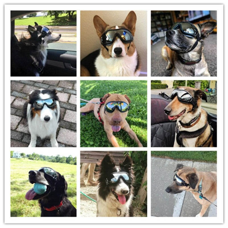 Adjustable Pet Dog Goggles Sunglasses