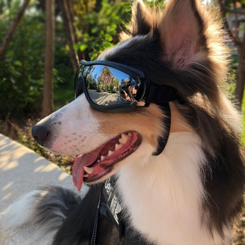 Adjustable Pet Dog Goggles Sunglasses