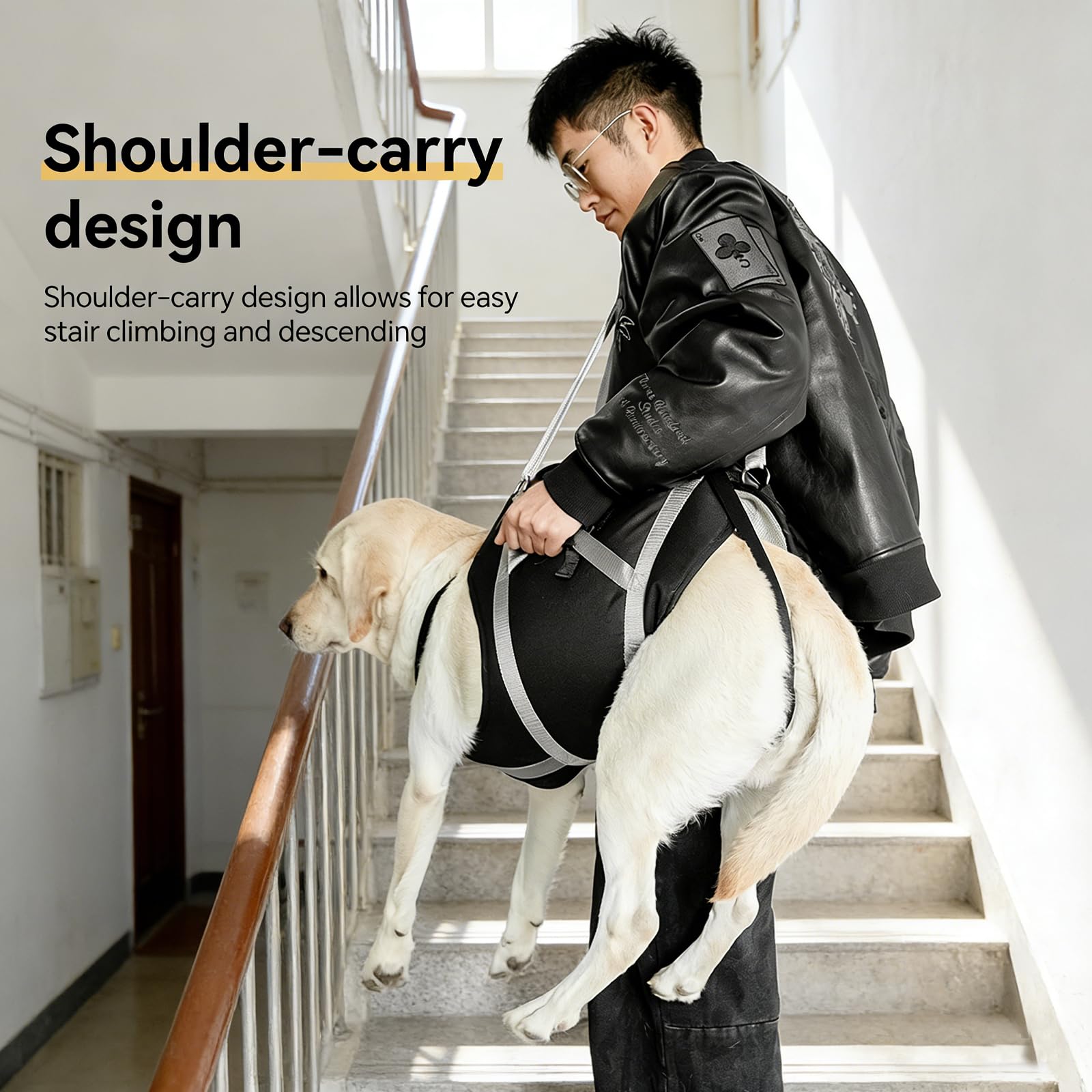 Adjustable Dog Lift Harness Pets Adjustable Padded Straps Dog Lift Harness with Handles