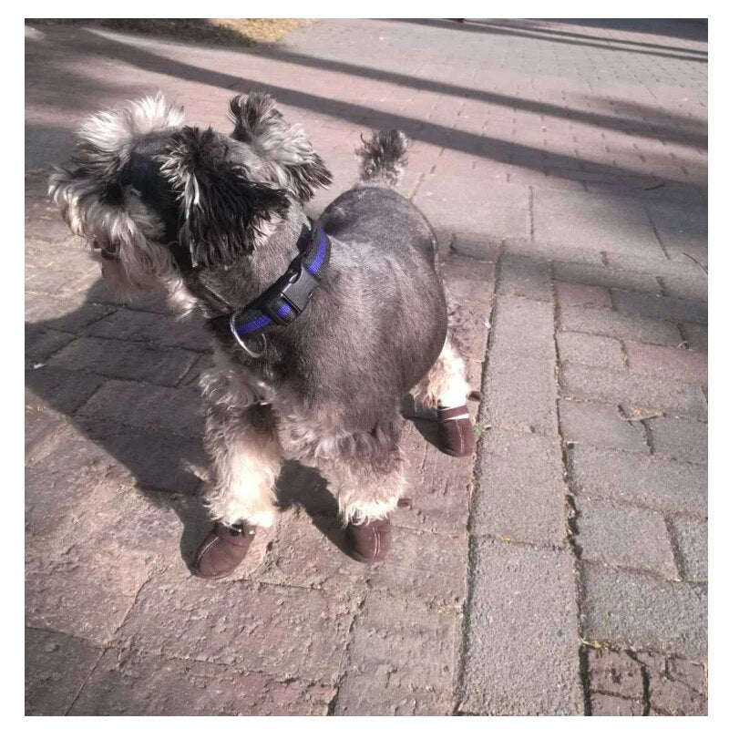 Autumn/Winter Pet Snow Boots Waterproof Snow Boots