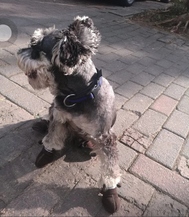 Autumn/Winter Pet Snow Boots Waterproof Snow Boots