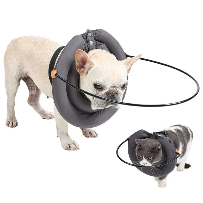 Blind Dog Bumper Guide Blind Dog Harness