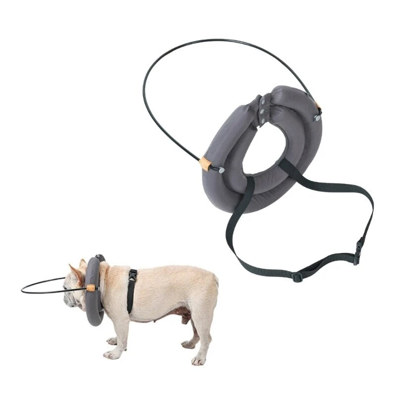 Blind Dog Bumper Guide Blind Dog Harness