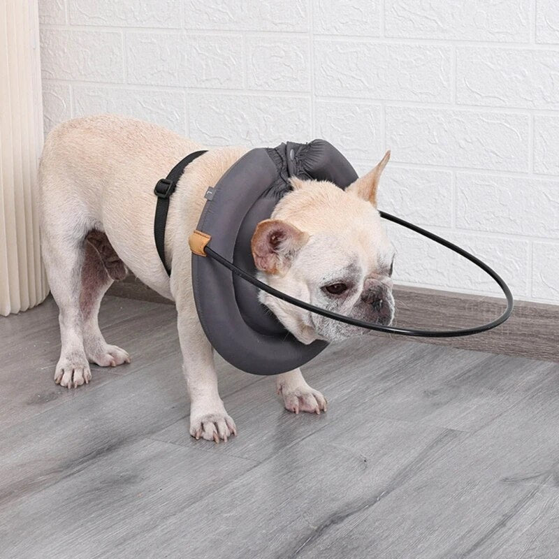 Blind Dog Bumper Guide Blind Dog Harness