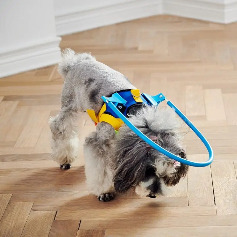 Blind Pet Dog Anti-collision Collar Dogs Prevent Collision Collars Supplies