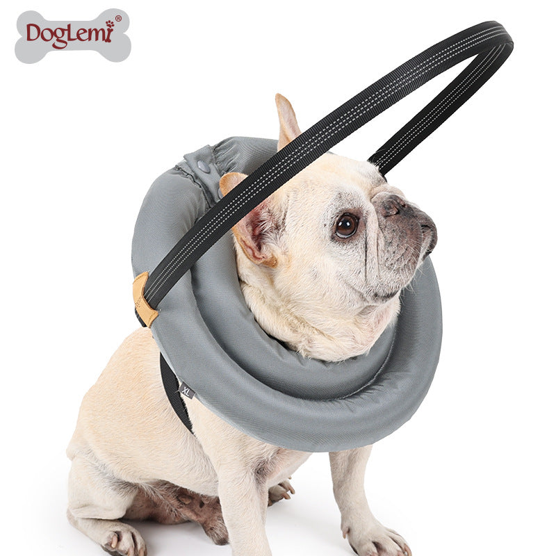 Blind Dog Bumper Guide Blind Dog Harness