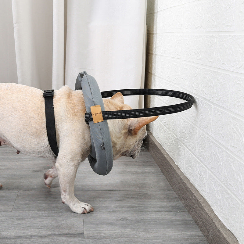 Blind Dog Bumper Guide Blind Dog Harness