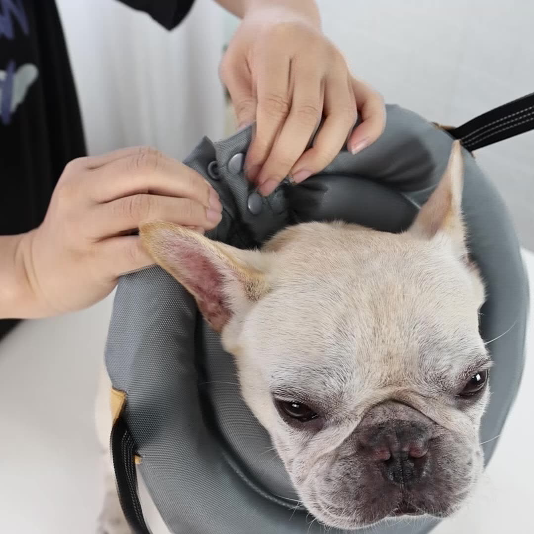 Blind Dog Bumper Guide Blind Dog Harness