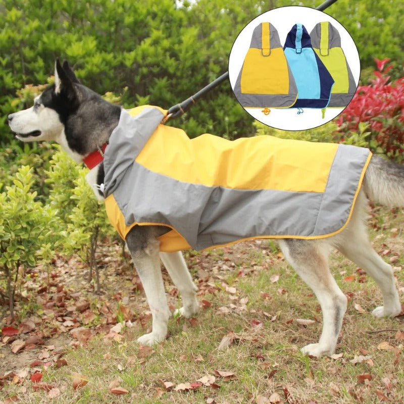 Color Matching Outdoor Dog Raincoat Casual Outdoor Dog Jacket