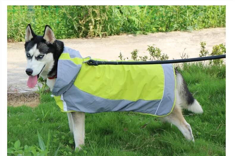 Color Matching Outdoor Dog Raincoat Casual Outdoor Dog Jacket