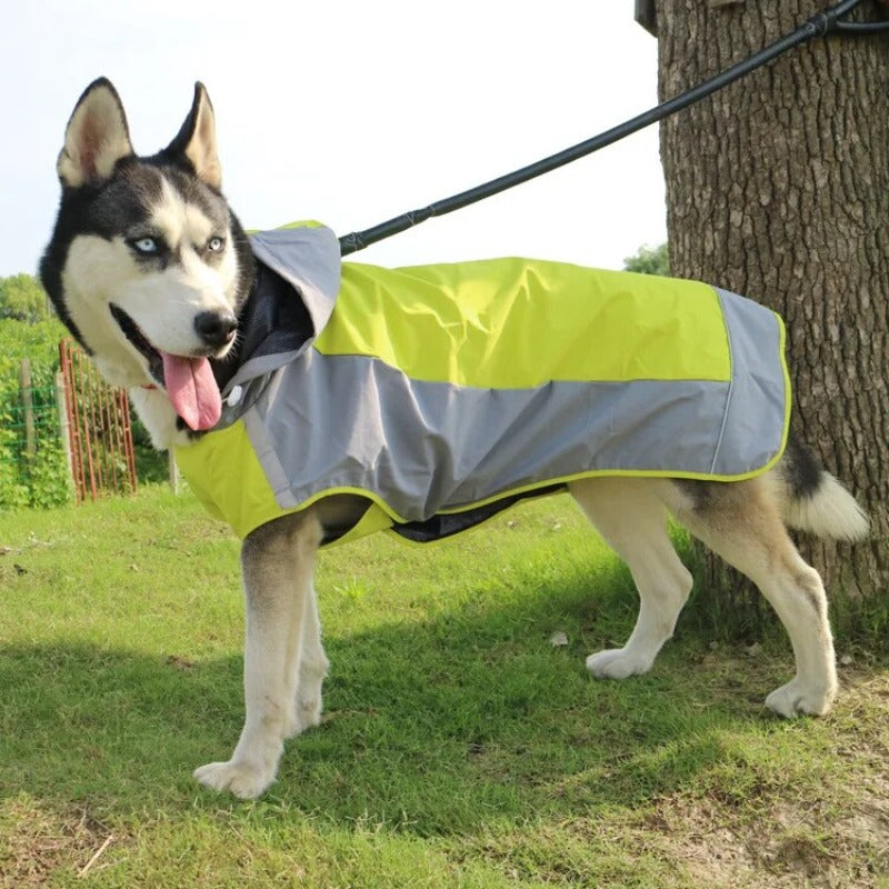 Color Matching Outdoor Dog Raincoat Casual Outdoor Dog Jacket