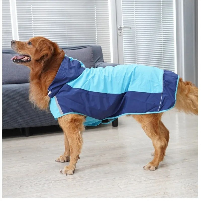Color Matching Outdoor Dog Raincoat Casual Outdoor Dog Jacket