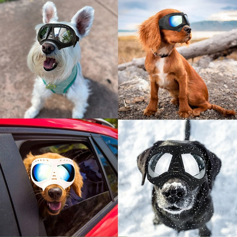 Pet Dog Goggles Sunglasses UV Protection Windproof