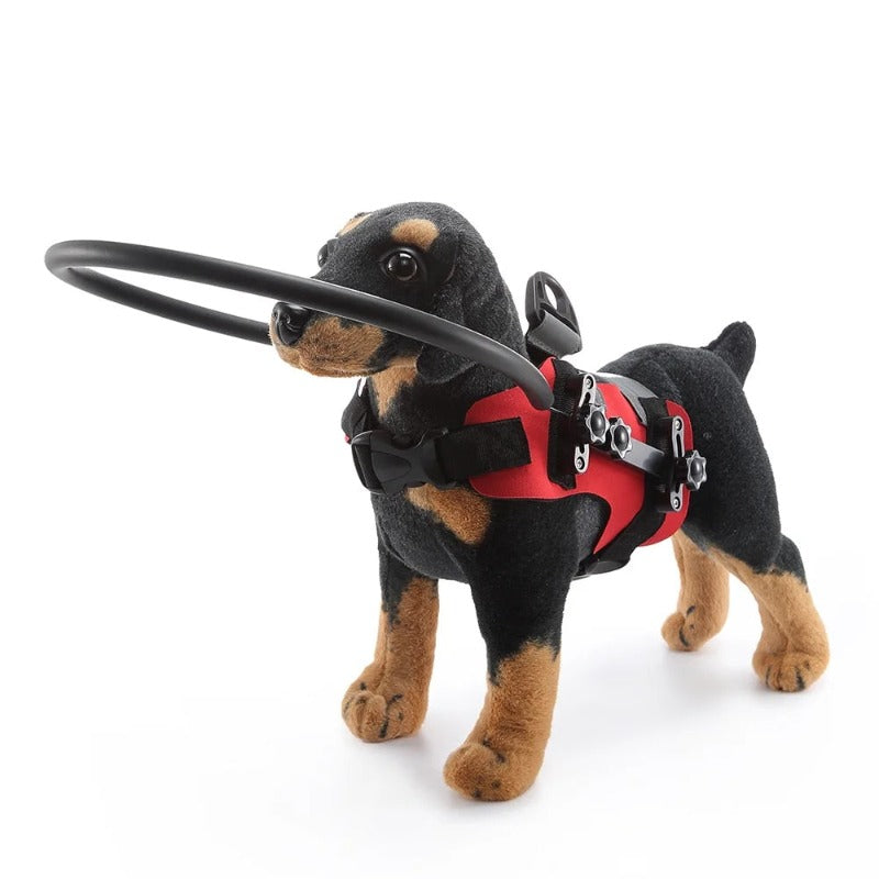 Dog Blind Halos Anti-collision Dog Cat Anti-collision Guide Ring
