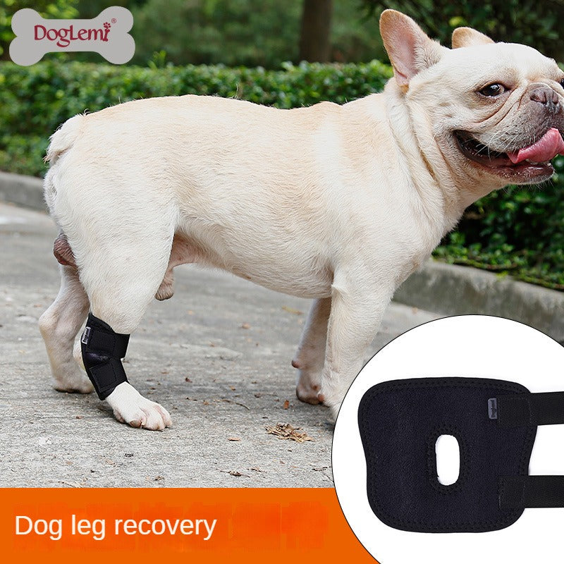 Dog Leg Wrap Pet Leg Hock Dog Ankle Brace