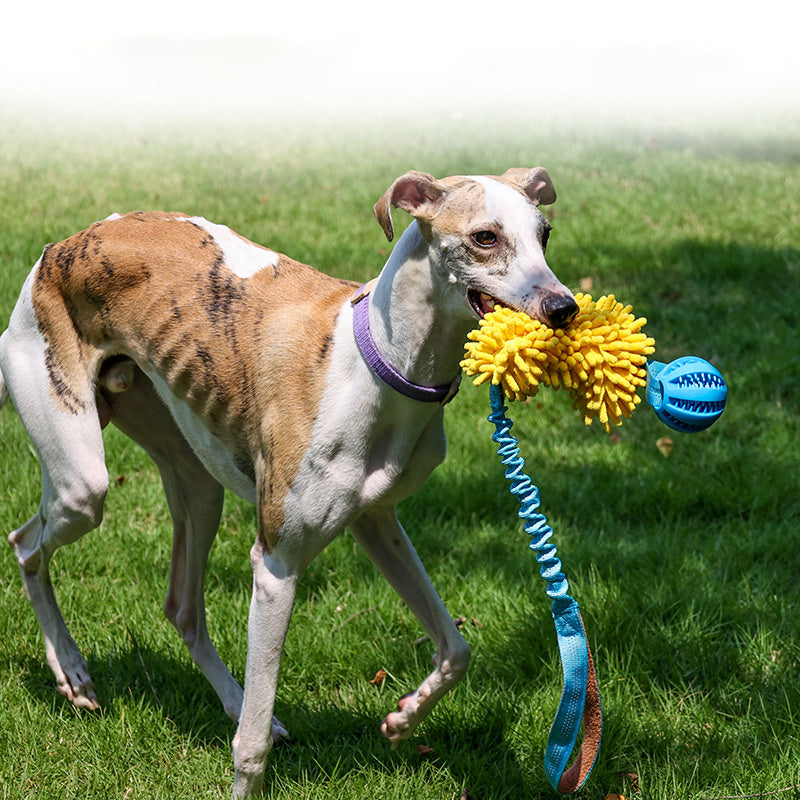 Dog Chew Rope Colorful Dog Tug Toy Elastic Drawstring Pet Chew Toy