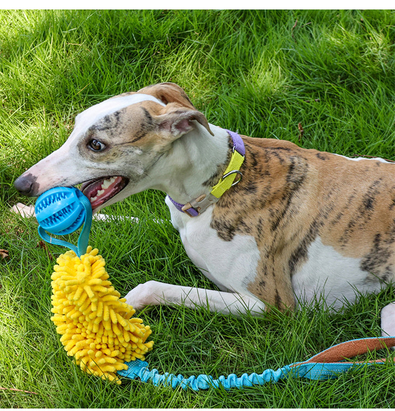 Dog Chew Rope Colorful Dog Tug Toy Elastic Drawstring Pet Chew Toy