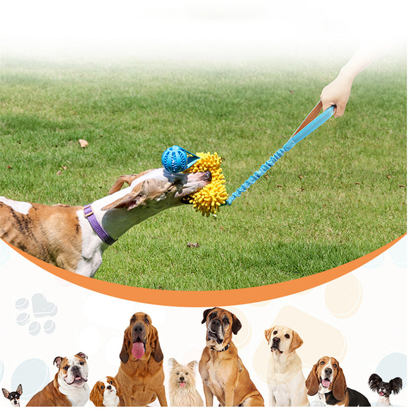 Dog Chew Rope Colorful Dog Tug Toy Elastic Drawstring Pet Chew Toy