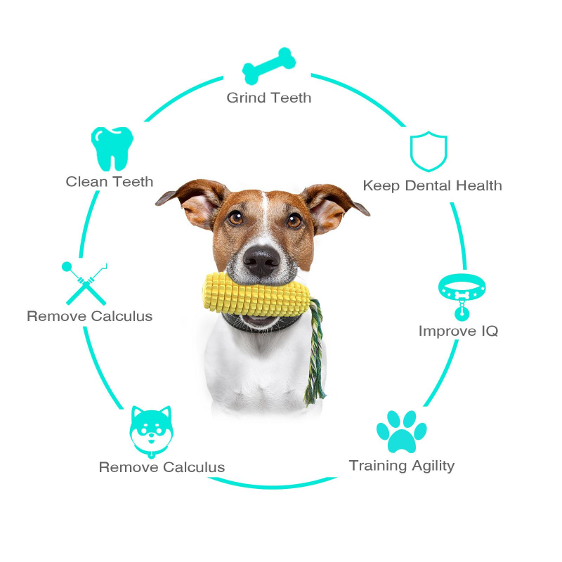 Dog Chew Toys Bite-Resistant Toothbrush